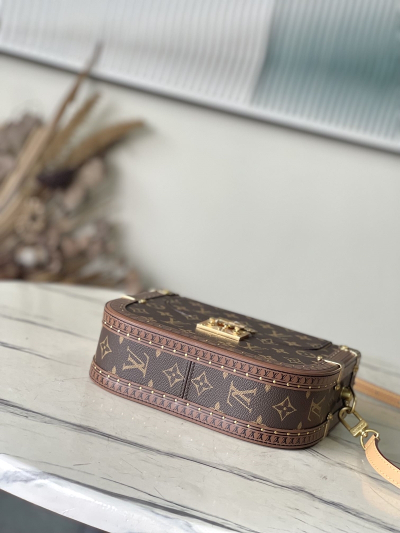 LV Satchel Bags